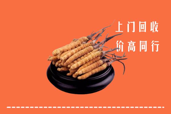 高价求购：鲁山县回收散虫草