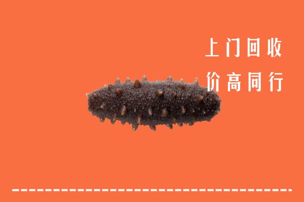 鲁山县回收海参
