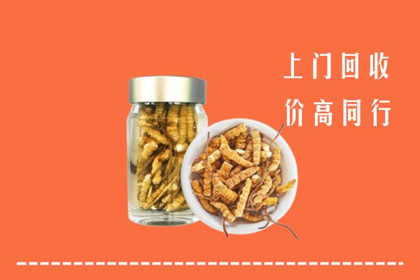 鲁山县回收冬虫夏草